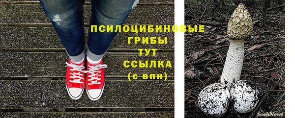 mdpv Баксан
