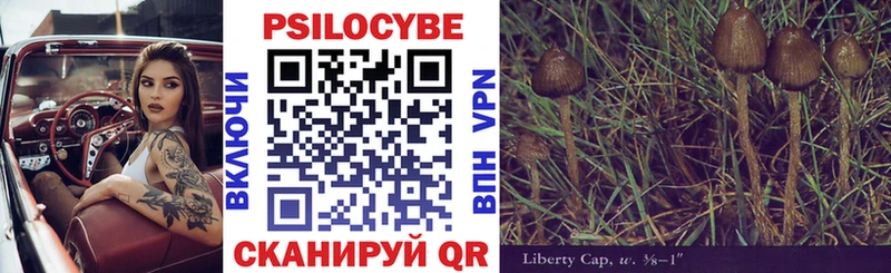 купить закладку  Давлеканово  Галлюциногенные грибы GOLDEN TEACHER 